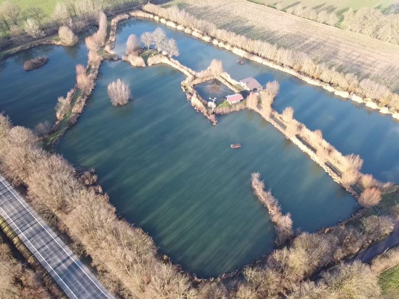 Teichanlage Armshorst